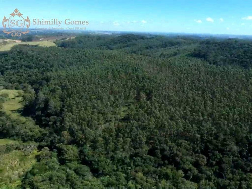 Imagem 8 de 18 de Sitio Com 18.000 Alqueires, Energia Elétrica E Casa Para Caseiro.