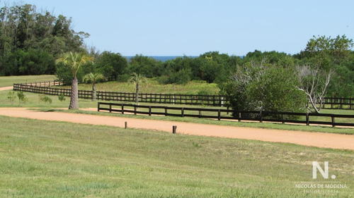 Terreno En Venta En Las Garzas.