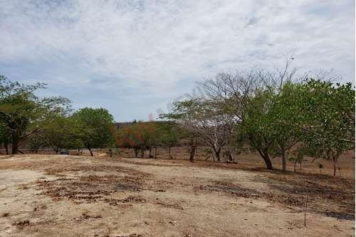 Imagen 5 de 8 de Terreno Para Desarrollar