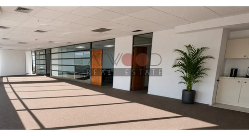 Oficina 312 M2 6 Privados Piso Alto