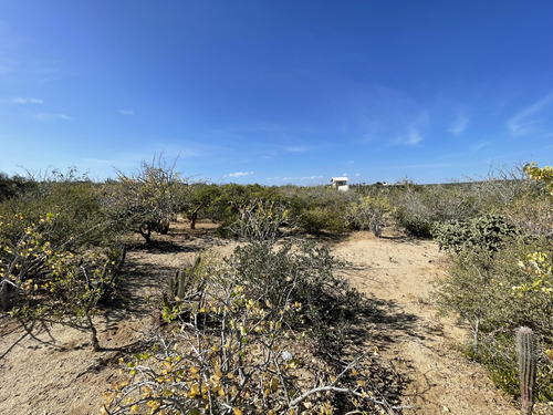 Block 10 Zacatitos, Lot 11