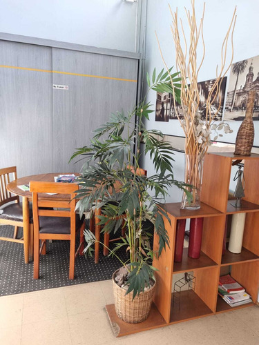 Imagen 3 de 15 de Excelente Oportunidad Comercial/habitacional Vende