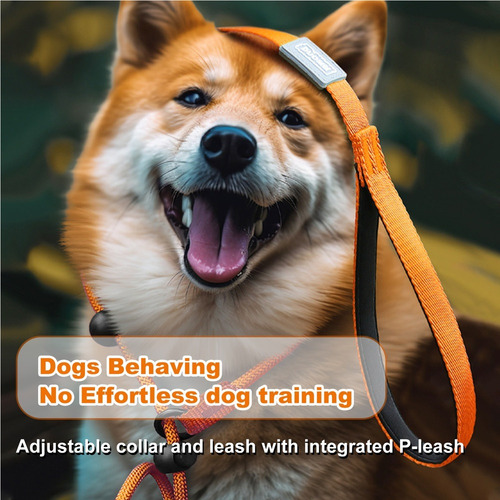 - Correa Ajustable Para Perros Slip Lead De Una Sola Pieza