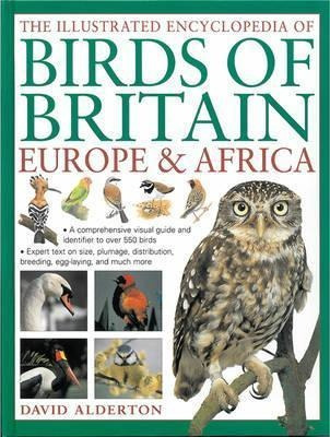 The Illustrated Encyclopedia Of Birds Of Britain  (hardback)