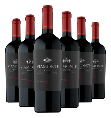 Vino Viamonte Gran Reserva Malbec 6x750cc