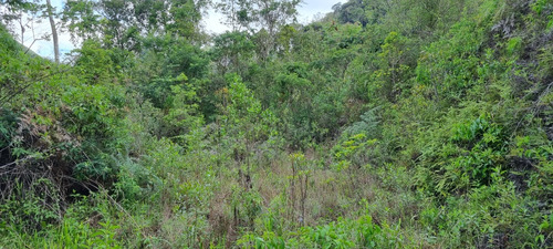 Terreno Paineiras, Lumiar , Nova Friburgo