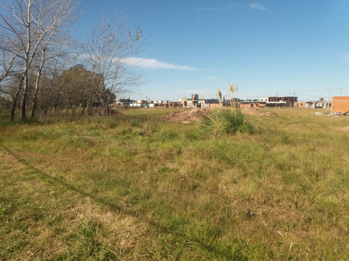 Imagen 3 de 3 de Lotes En Cañuelas.