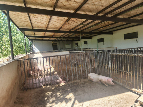 Finca Con Grandes Construcciones De Depositos, Establo ,tambo Y Criadero
