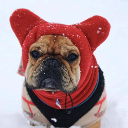 2 Capucha Para Perro, Gorro Cálido, Gorro De Invierno Para