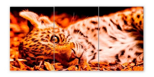 Cuadro Triptico Leopardos Varios Modelos 60x120 (4)