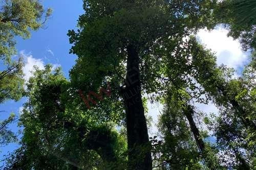 Imagen 2 de 22 de Venta De Terreno En Valle De Bravo Con Desarrollo De Rancho