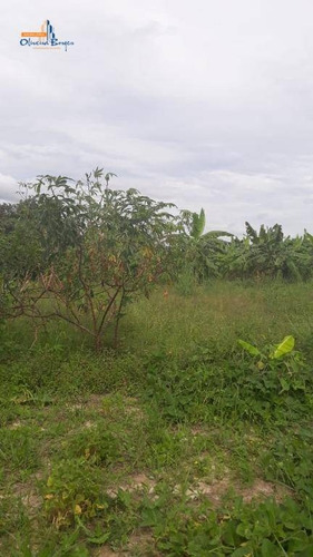Chácara Com 3 Dormitórios À Venda, 24200 M² Por R$ 225.000,00 - Gameleira - Gameleira De Goiás/go - Ch0050