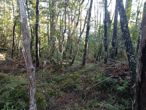 Venta Parcela Bosque Pucón Los Nevados