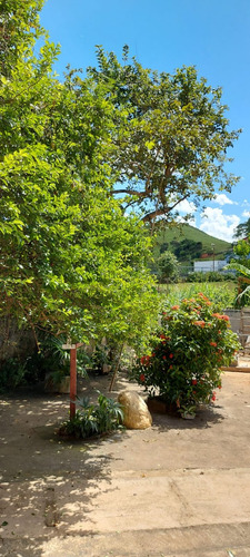 Chácara No Centro De Faria Lemos/mg Com 700m2, Com 2 Casas Uma Grande Em Alto Padrão E Uma Casa Menor, Com Piscina E Área Goumet E Pomar Com Muitas Frutas, Pronta Para Morar