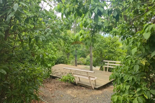 Hermosa Parcela Para Uso Agrícola O Vivienda
