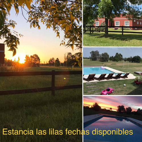 Imagen 5 de 14 de Chacra 6 Hab 3 Baños Piscina 10000 Metros De Parque