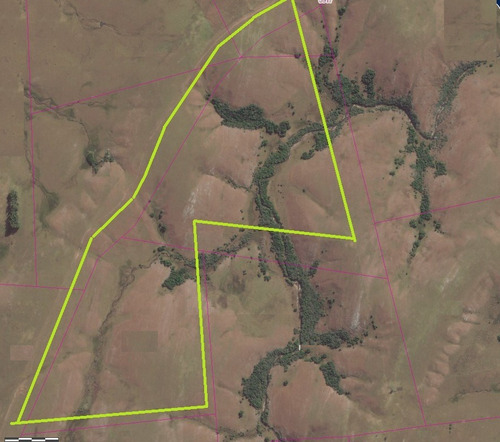 Campo En Venta Treinta Y Tres, 87 Hectáreas