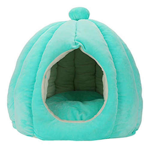 Cama Para Gatos De Calabaza Para Gatos De Azul Verde Grande