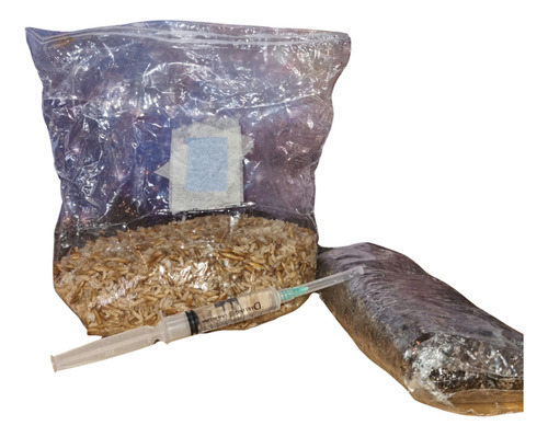 Aprende A Cultivar Tus Setas Psi Facil Y Seguro! Con Guias