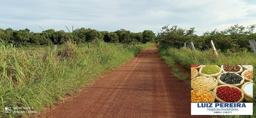 Imagem 11 de 15 de Fazenda À Venda Em Figueirópolis - To - De 114 Alqueirões (dupla Aptidão) - 1672
