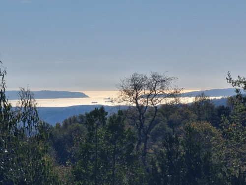 Con Vista Al Mar Y A La Cordillera. Parcela Única