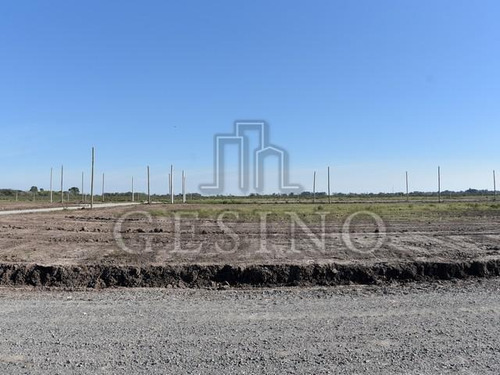 Imagen 6 de 7 de Terreno - Arana