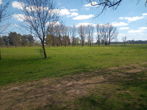 Imagen 6 de 30 de Campo En Venta Zona Polo, Pilar, Con 2 Canchas De Polo Y Varias Mejoras