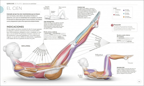 Pilates: Mejora Tu Técnica, Evita Lesiones, Perfecciona Tu Entrenamie, De Tracy Ward. Editorial Dk, Tapa Blanda, Edición 1 En Español