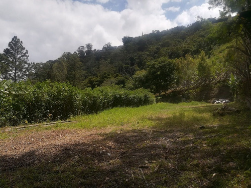 Imagen 1 de 4 de Terreno De 2520 Mts Urb La Suiza-san Luis, San Antonio De Los Altos, Miranda