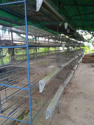 Imagen 10 de 30 de José Herrera Vende Finca En Edo. Tachira.(cod. Plf-002)