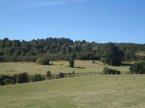 Agrícola En Venta En Lago Ranco