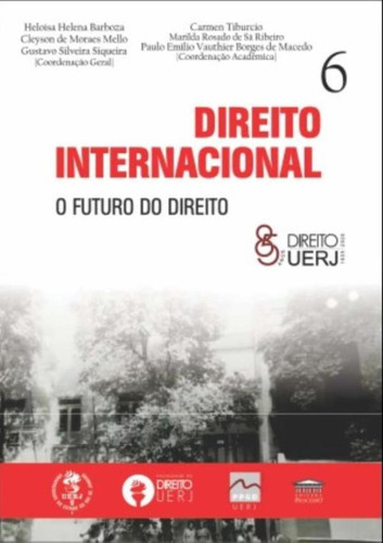 Direito Internacional - O Futuro Do Direito: Direito Internacional - O Futuro Do Direito, De Es Diversos. Editora Processo, Capa Mole, Edição 1 Em Português, 2022