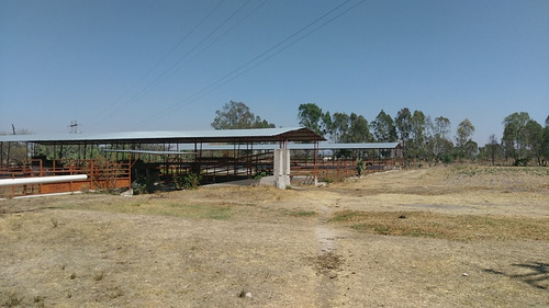 Rancho En Venta En Hidalgo Con Pozo Propio, A 40 Minuto De Queretaro Y 2 Horas De Cdmx