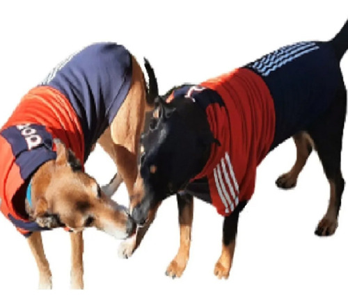 Imagen 7 de 10 de Buzos Abrigo Ropa Perros Grandes Coleccion Clima Frio Cool*