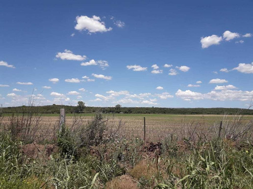 Campo Agricola En Venta En Villa Del Totoral Gutierrez 250ha