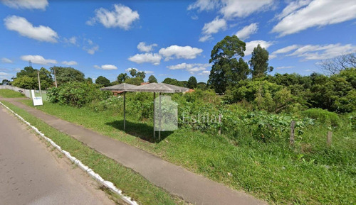 Imagem 9 de 10 de Terreno Industrial De 17,5 Mil M² No Guatupê, São José Dos Pinhais - Te0185