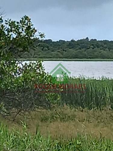 Imagem 12 de 30 de Terreno À Venda Em Iguape Sp Medindo 4 Alqueires Paulista Ref0940