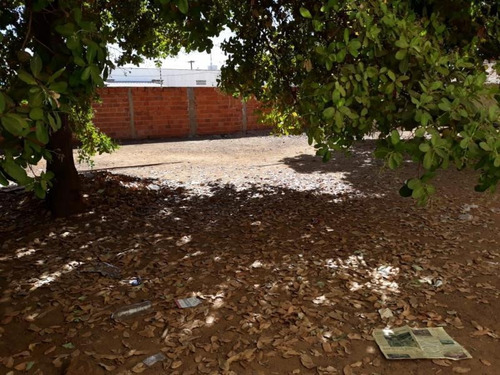 Imagem 2 de 3 de Terreno Comercial Para Venda Em Palmas, Plano Diretor Norte - 1109.3_2-775606