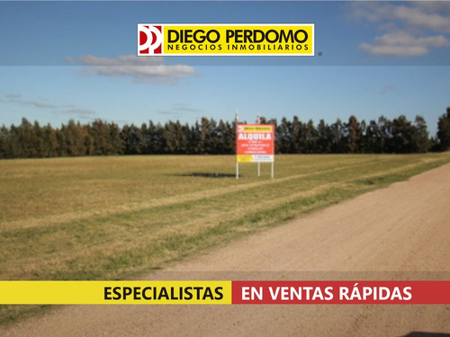 Predio De 15000m² En Venta, Montevideo.