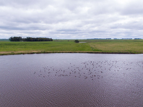 Campo En Venta En Florida Ref. 4408 (ref: Cbr-669)