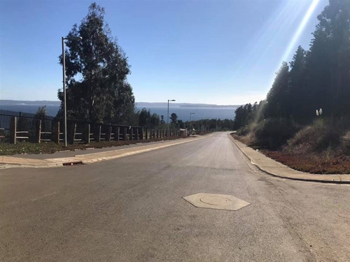 Imagen 4 de 6 de Sitio En Venta En Concepción