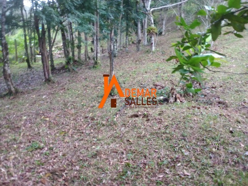 Imagem 24 de 30 de Chacara - Ch00125 - 70927858