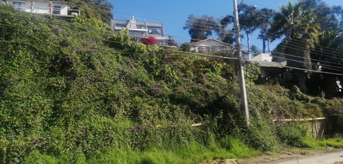 Excelente Sitio En Primera Línea Av. Borgoño