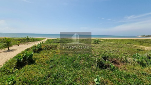 Imagem 8 de 29 de Village Em Itacimirim Com 2 Suítes E 71 M² Pé Na Areia . (porteira Fechada) - Ca00032 - 70674084