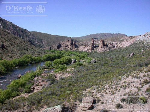 Campo En Venta De 635 Has Bariloche, Costa Del Pichileufu, Rio Negro.