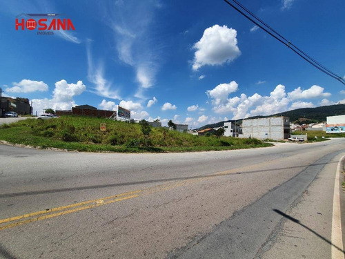 Imagem 2 de 6 de Terreno Comercial E Residencial A Venda Em Avenida - Te0411