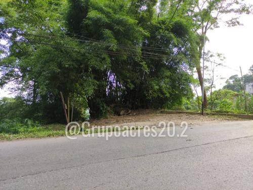 Imagen 8 de 10 de Se Vende Terreno Comercial A Orilla De Calle En San Diego De Los Altos, Edo. Miranda. Rz