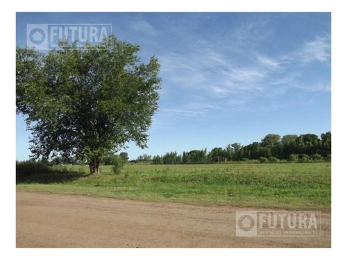 Imagen 7 de 10 de Campo Madero - Barrio Abierto Residencial - Ibarlucea