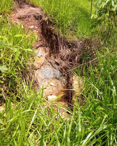 Imagen 23 de 30 de Vendo Finca En Tocuyito Vía Cachinche ( Dt )