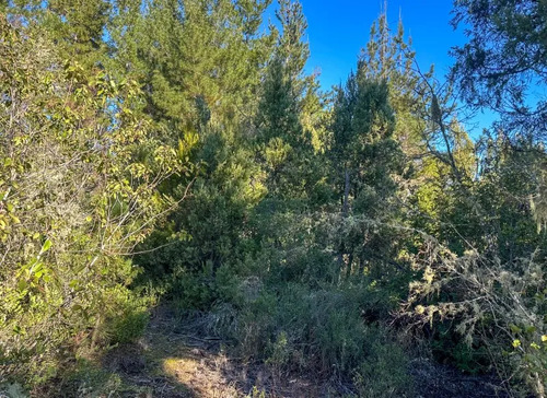 Venta Parcela En Embalse Digua, De Parral